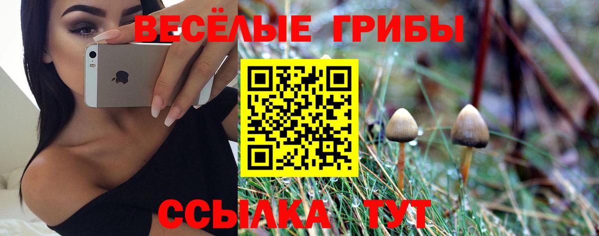 Галлюциногенные грибы Cubensis  Вход с VPN  Назрань 